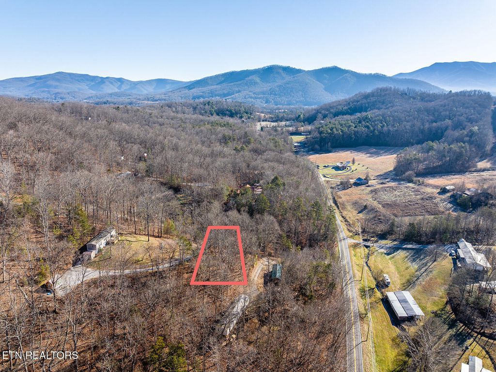 Photo of 0 Mary Way, Cosby, TN 37722 (MLS # 1333400)