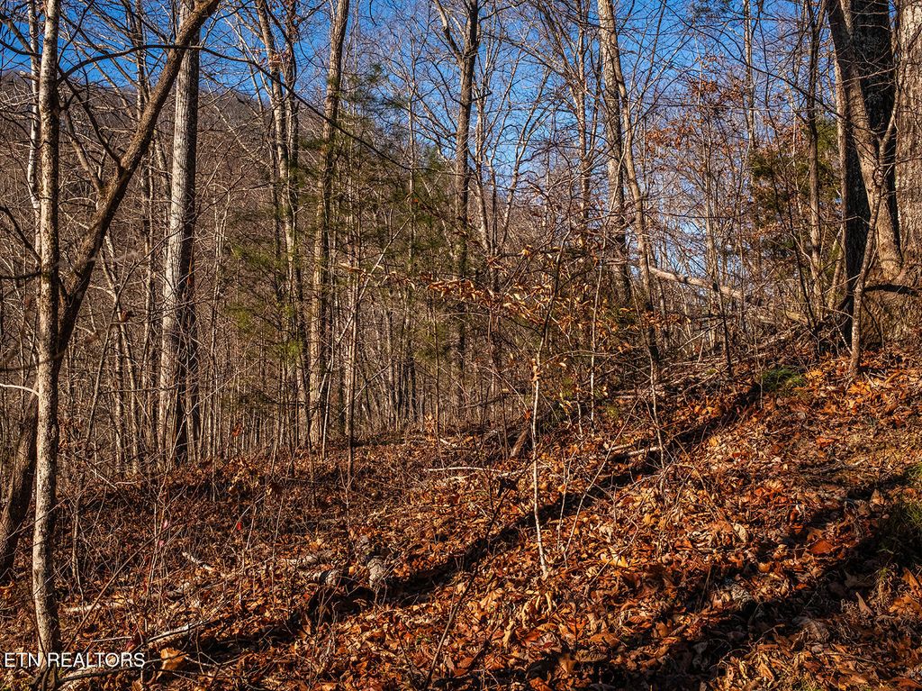 Photo of 0 Mary Way, Cosby, TN 37722 (MLS # 1333400)