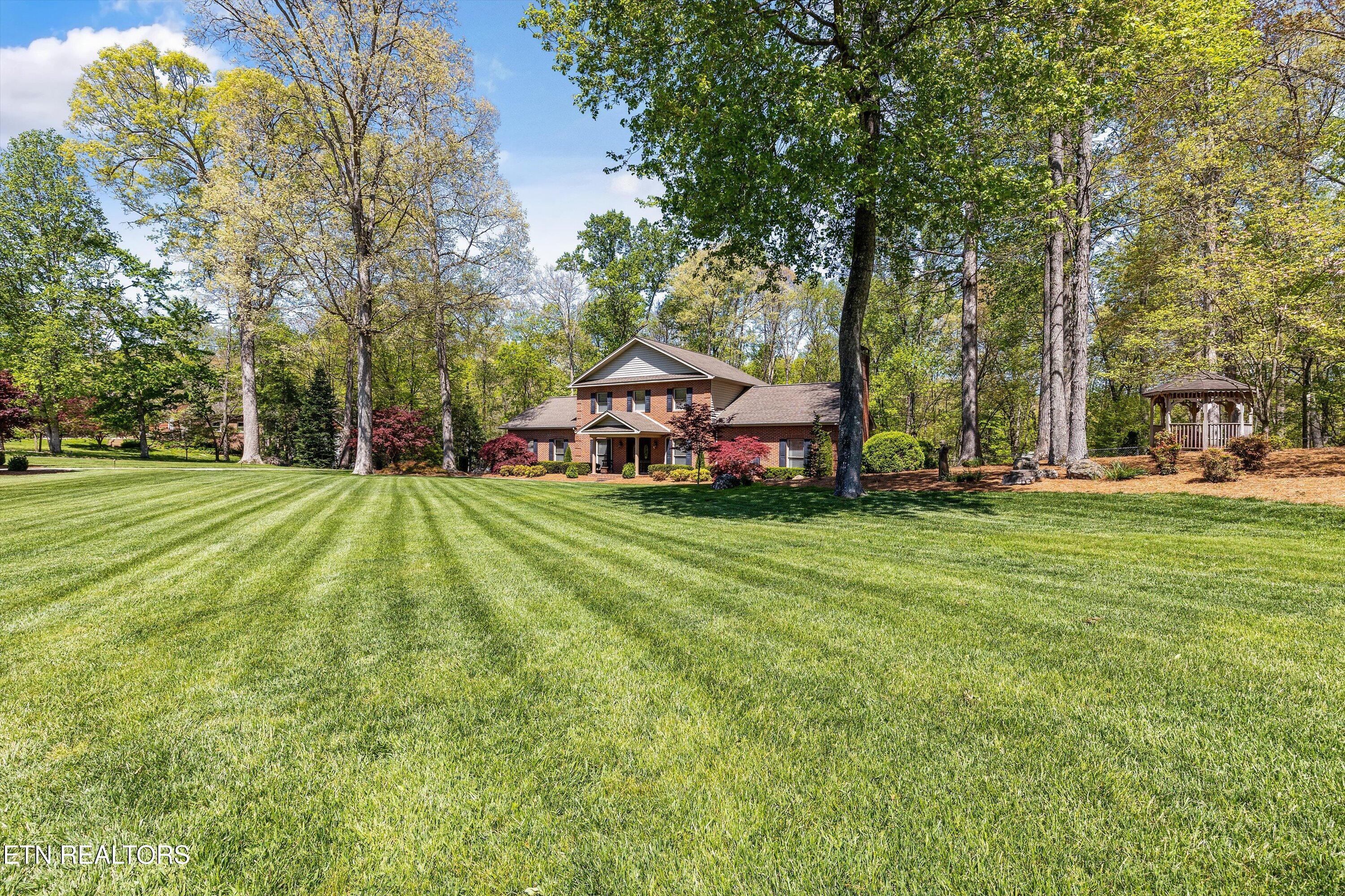 46 Chestnut Drive