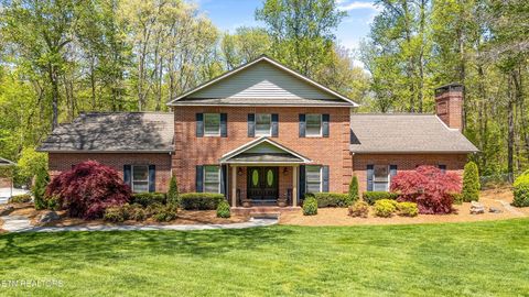 46 Chestnut Drive Norris TN 37828