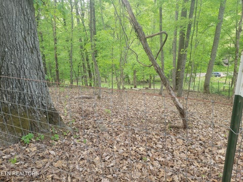 Tiny photo for Fielden Store Rd, New Market, TN 37820 (MLS # 1360195)