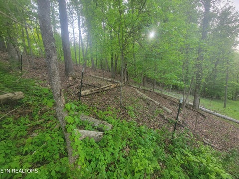 Tiny photo for Fielden Store Rd, New Market, TN 37820 (MLS # 1360195)