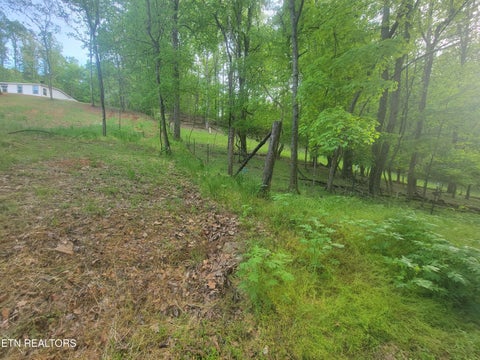 Tiny photo for Fielden Store Rd, New Market, TN 37820 (MLS # 1360195)