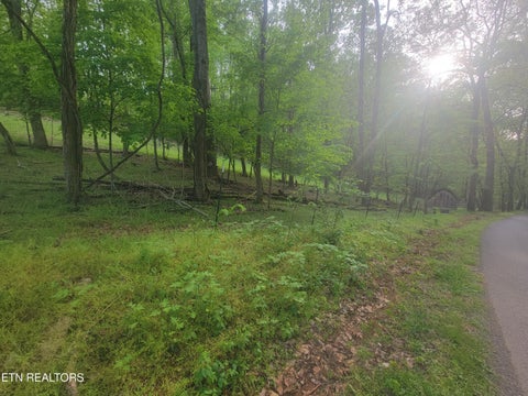 Tiny photo for Fielden Store Rd, New Market, TN 37820 (MLS # 1360195)