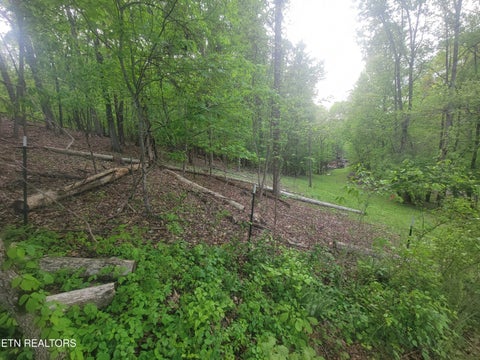 Tiny photo for Fielden Store Rd, New Market, TN 37820 (MLS # 1360195)