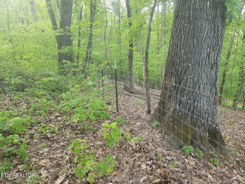 Tiny photo for Fielden Store Rd, New Market, TN 37820 (MLS # 1360195)