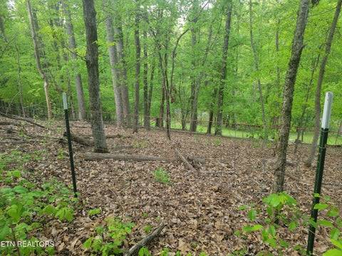 Tiny photo for Fielden Store Rd, New Market, TN 37820 (MLS # 1360195)