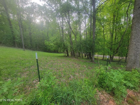 Tiny photo for Fielden Store Rd, New Market, TN 37820 (MLS # 1360195)