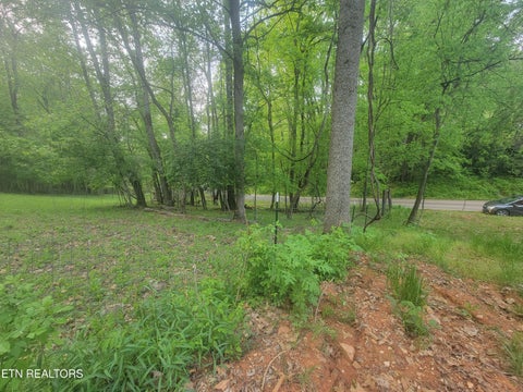 Tiny photo for Fielden Store Rd, New Market, TN 37820 (MLS # 1360195)
