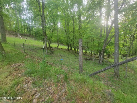 Tiny photo for Fielden Store Rd, New Market, TN 37820 (MLS # 1360195)