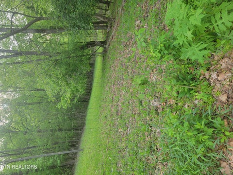 Tiny photo for Fielden Store Rd, New Market, TN 37820 (MLS # 1360195)