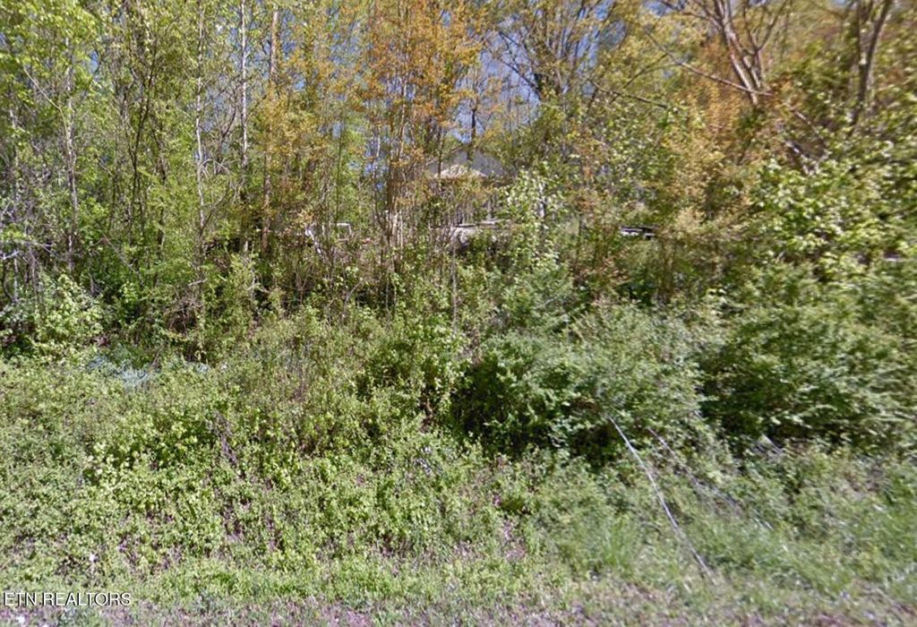 Photo of 1570 Sandy Ridge Rd, Dandridge, TN 37725 (MLS # 1307059)