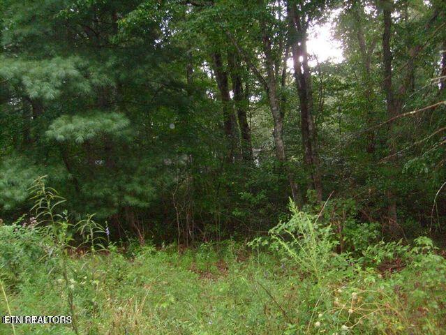 Photo of 8029 Saratoga Drive, Crossville, TN 38572 (MLS # 1358223)