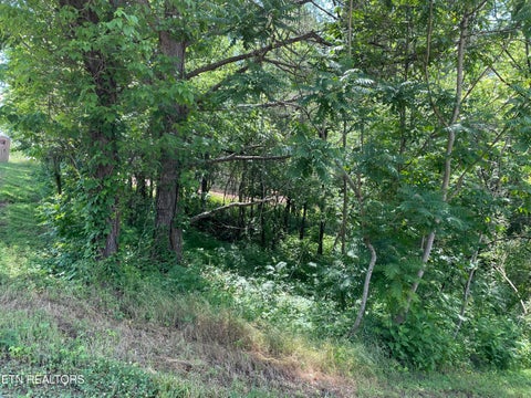 Photo of 163 Utsesti TRCE, Loudon, TN 37774 (MLS # 1355437)