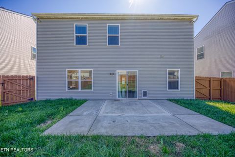 Tiny photo for 187 Ibis Loop, Oak Ridge, TN 37830 (MLS # 1332830)