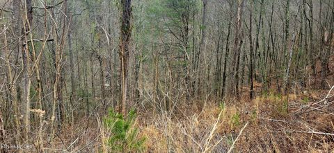 Tiny photo for 3278 Emerald Springs Loop, Sevierville, TN 37862 (MLS # 1330636)