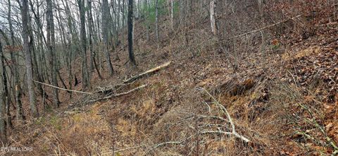 Tiny photo for 3278 Emerald Springs Loop, Sevierville, TN 37862 (MLS # 1330636)