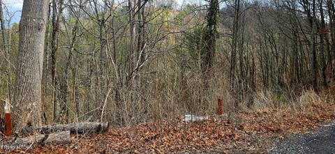 Tiny photo for 3278 Emerald Springs Loop, Sevierville, TN 37862 (MLS # 1330636)