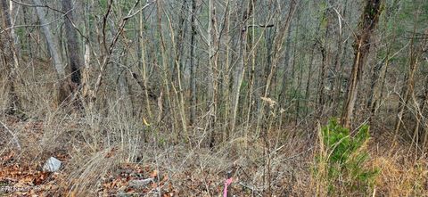 Tiny photo for 3278 Emerald Springs Loop, Sevierville, TN 37862 (MLS # 1330636)