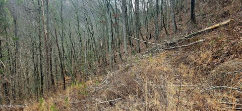 Tiny photo for 3278 Emerald Springs Loop, Sevierville, TN 37862 (MLS # 1330636)