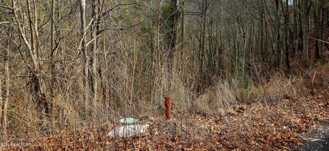 Tiny photo for 3278 Emerald Springs Loop, Sevierville, TN 37862 (MLS # 1330636)