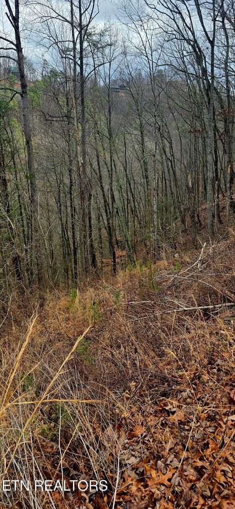 Tiny photo for 3278 Emerald Springs Loop, Sevierville, TN 37862 (MLS # 1330636)