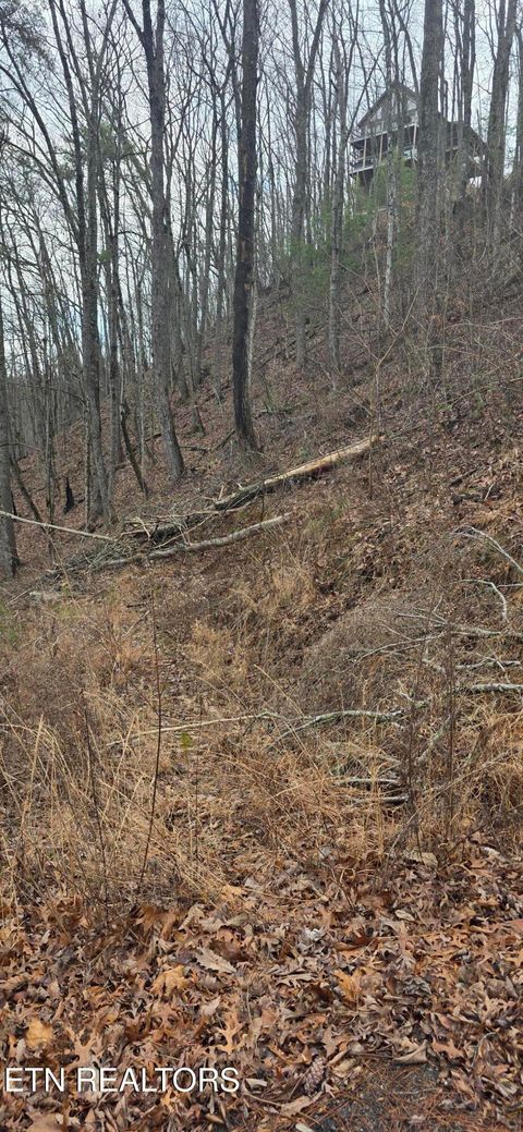 Tiny photo for 3278 Emerald Springs Loop, Sevierville, TN 37862 (MLS # 1330636)