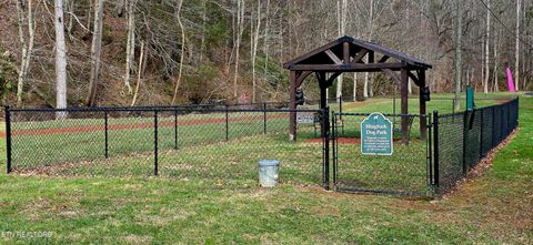 Tiny photo for 3278 Emerald Springs Loop, Sevierville, TN 37862 (MLS # 1330636)