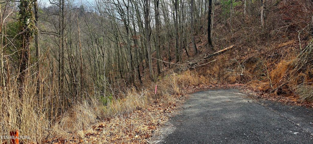 Photo of 3278 Emerald Springs Loop, Sevierville, TN 37862 (MLS # 1330636)