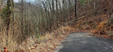 Tiny photo for 3278 Emerald Springs Loop, Sevierville, TN 37862 (MLS # 1330636)