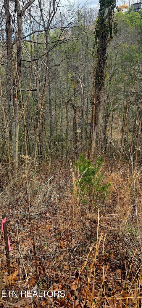Tiny photo for 3278 Emerald Springs Loop, Sevierville, TN 37862 (MLS # 1330636)