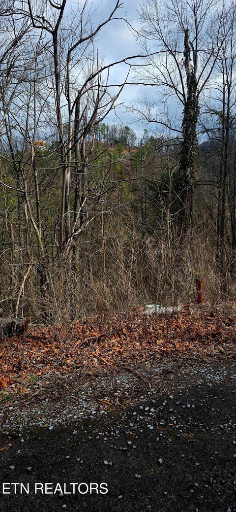 Tiny photo for 3278 Emerald Springs Loop, Sevierville, TN 37862 (MLS # 1330636)