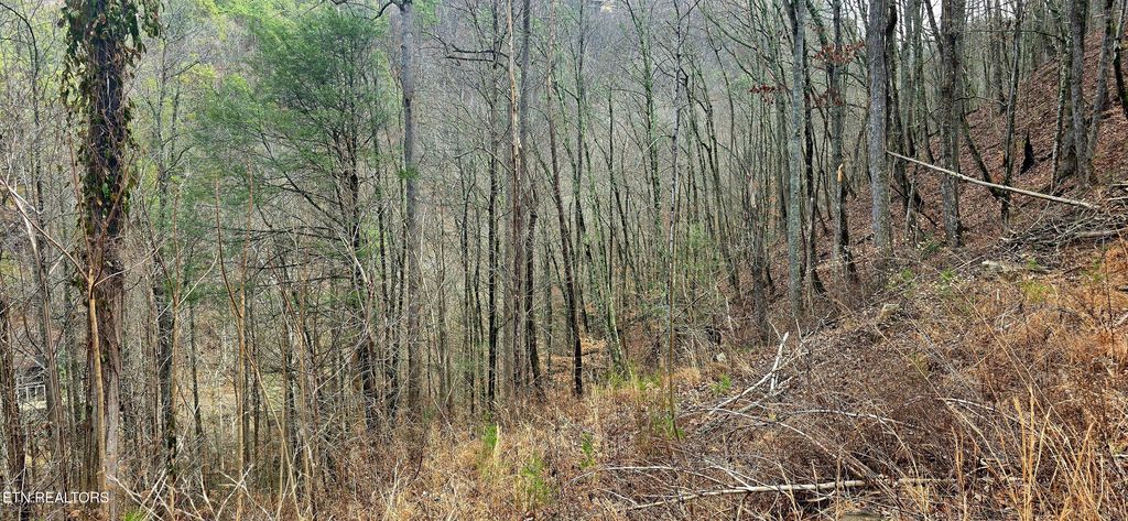 Photo of 3278 Emerald Springs Loop, Sevierville, TN 37862 (MLS # 1330636)