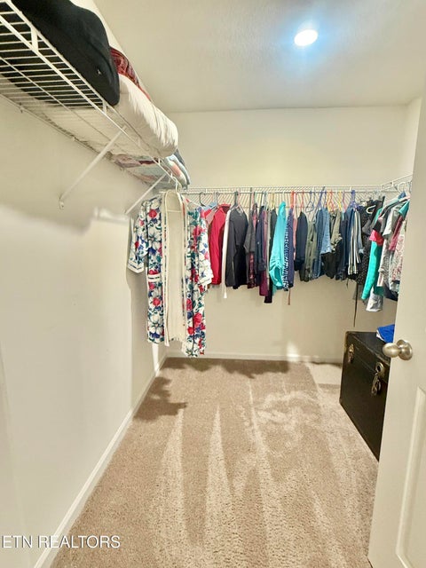 Tiny photo for 7530 Grasshopper Lane, Corryton, TN 37721 (MLS # 1354557)