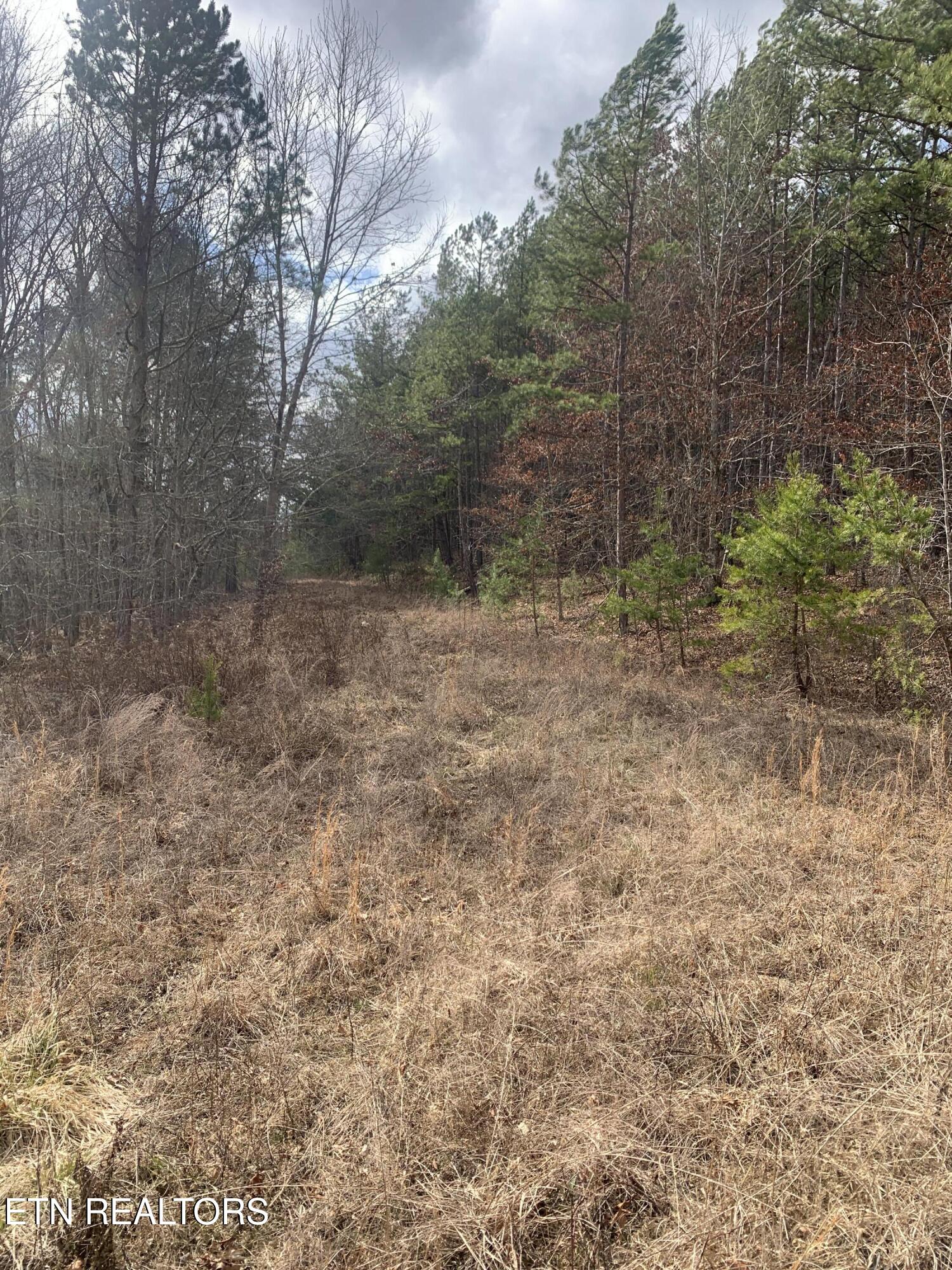 117 Coon Creek Rd