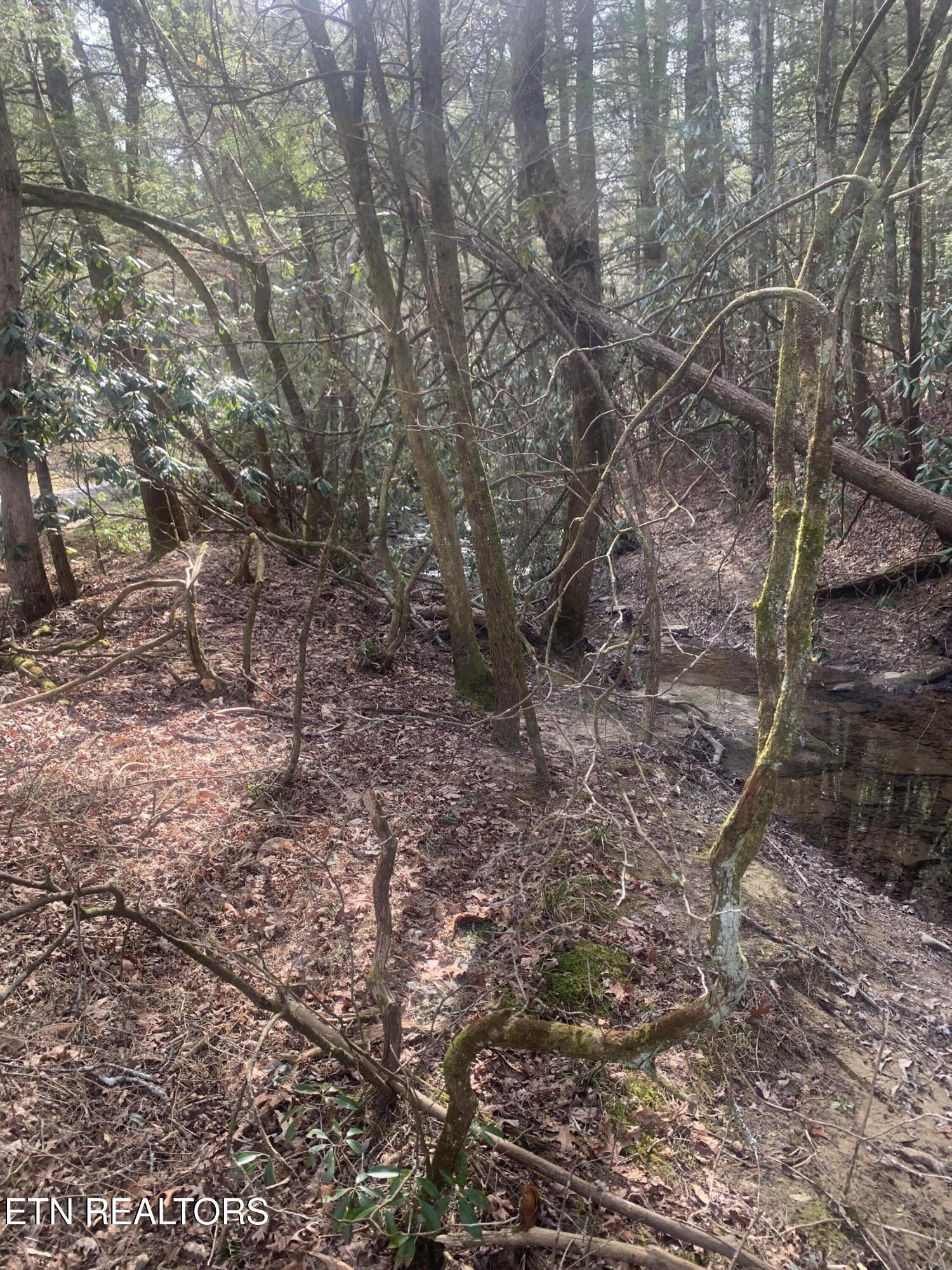 117 Coon Creek Rd