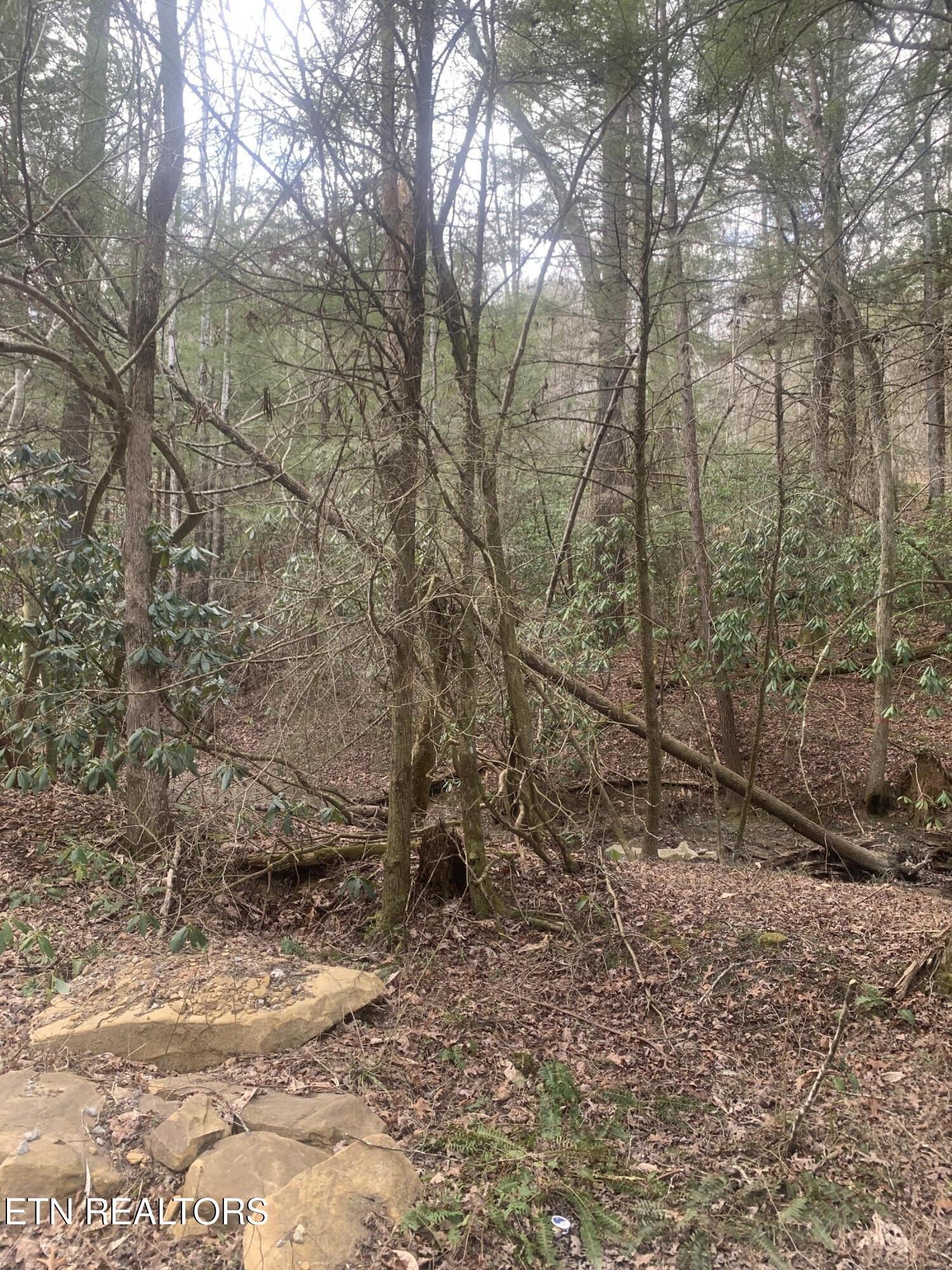 117 Coon Creek Rd