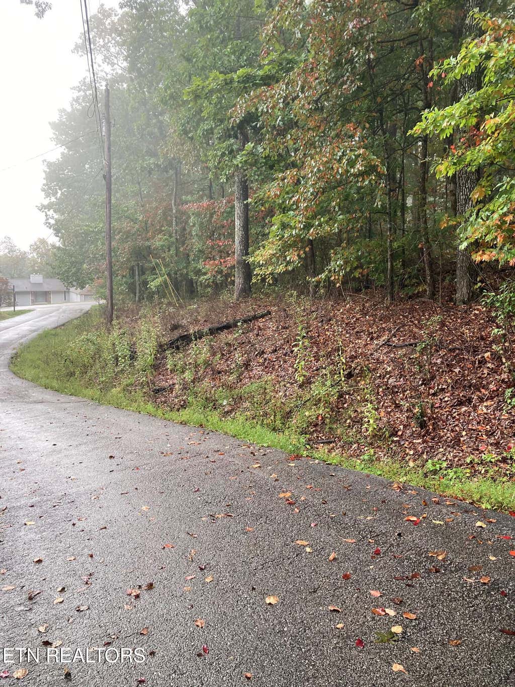 Photo of 127 Brokenwood Lane, Crossville, TN 38558 (MLS # 1352909)