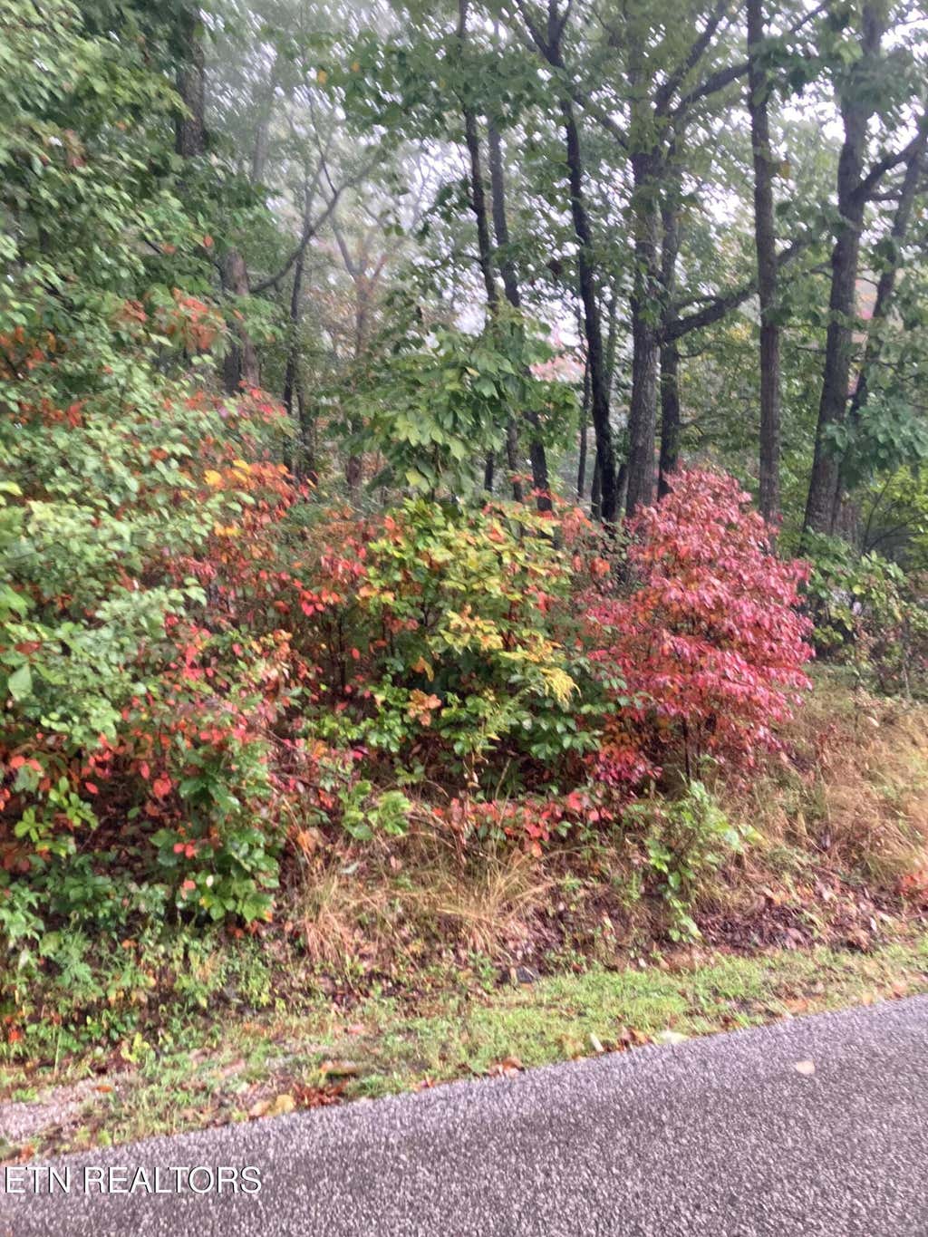 Photo of 127 Brokenwood Lane, Crossville, TN 38558 (MLS # 1352909)