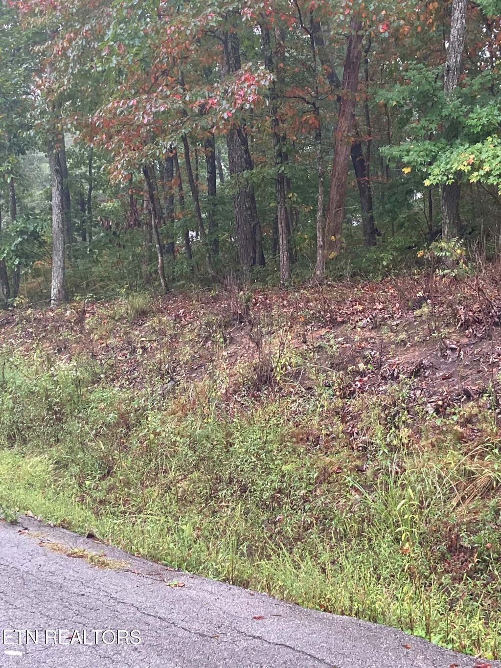 Photo of 127 Brokenwood Lane, Crossville, TN 38558 (MLS # 1352909)