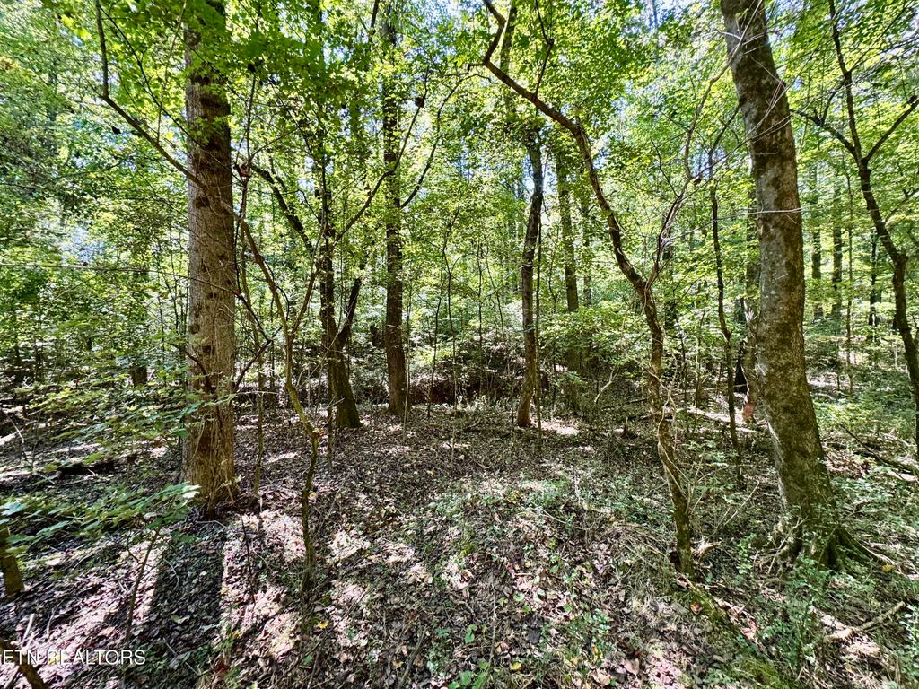 Photo of Randolph Fridley Rd, Sweetwater, TN 37874 (MLS # 1316551)