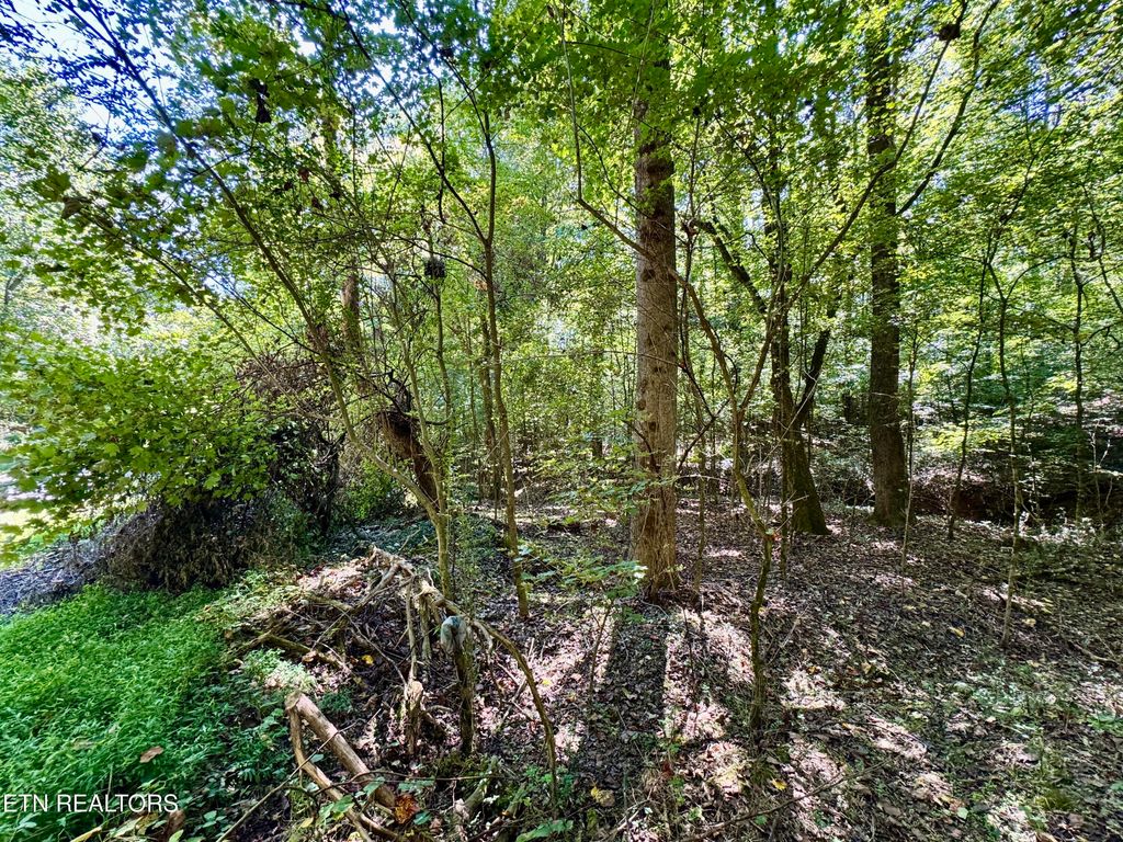Photo of Randolph Fridley Rd, Sweetwater, TN 37874 (MLS # 1316551)