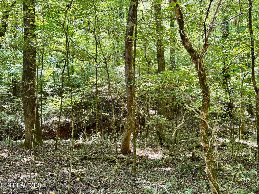 Photo of Randolph Fridley Rd, Sweetwater, TN 37874 (MLS # 1316551)