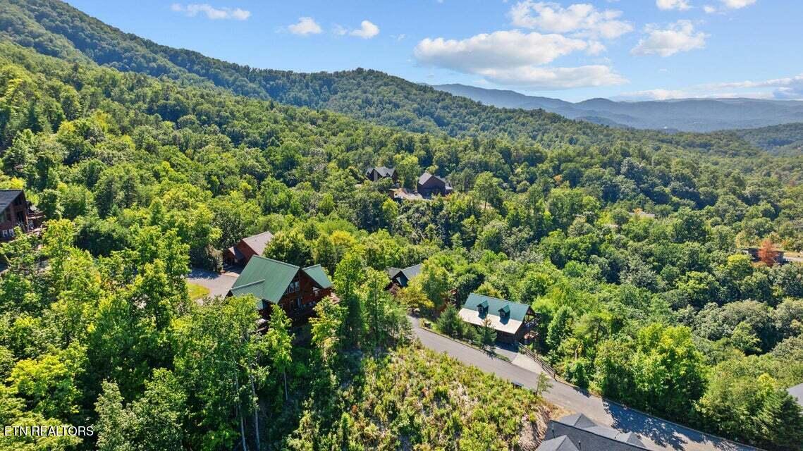 3650 Wilderness Mtn Rd