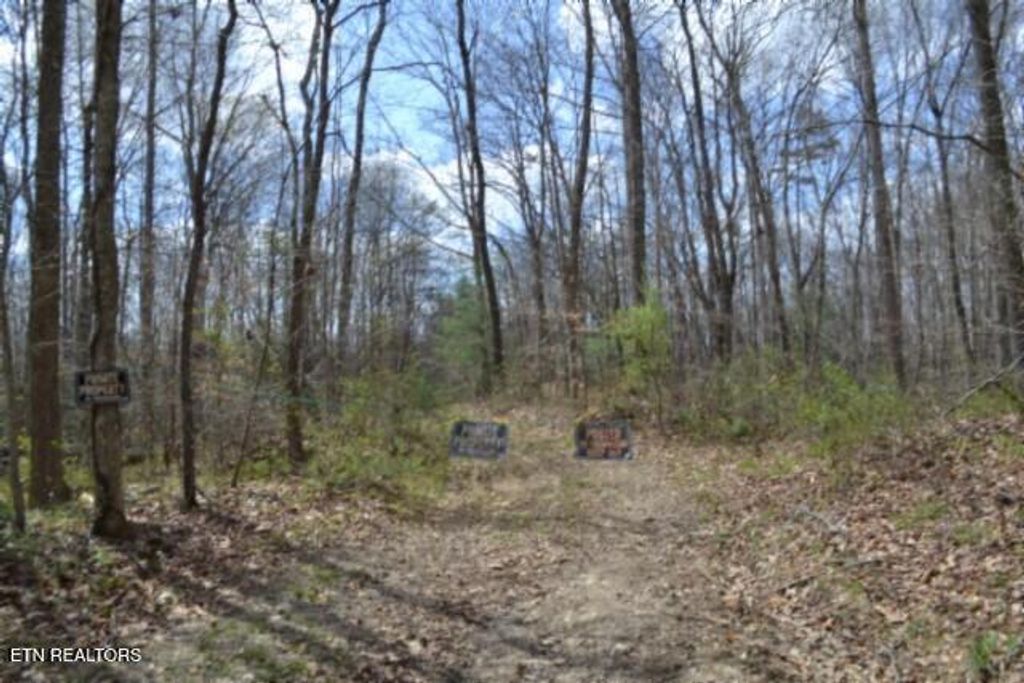 Photo of 1079 S/O Buffalo Rd Rd, Oneida, TN 37841 (MLS # 1335174)