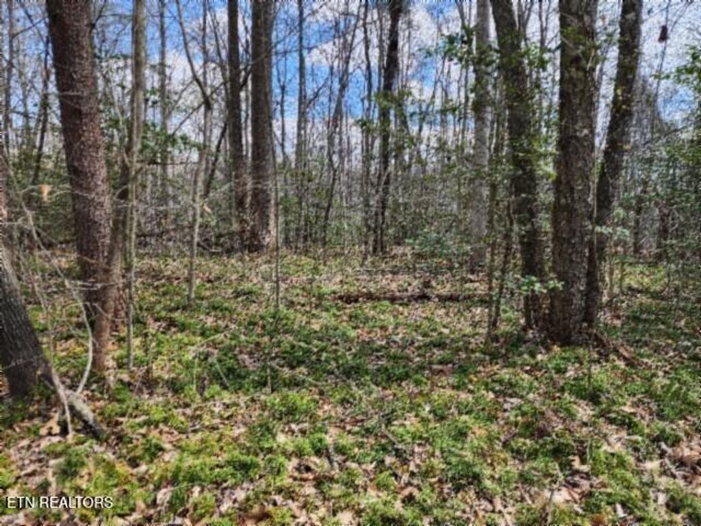 Photo of 1079 S/O Buffalo Rd Rd, Oneida, TN 37841 (MLS # 1335174)