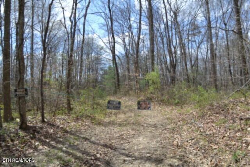 Photo of 1079 S/O Buffalo Rd Rd, Oneida, TN 37841 (MLS # 1335174)