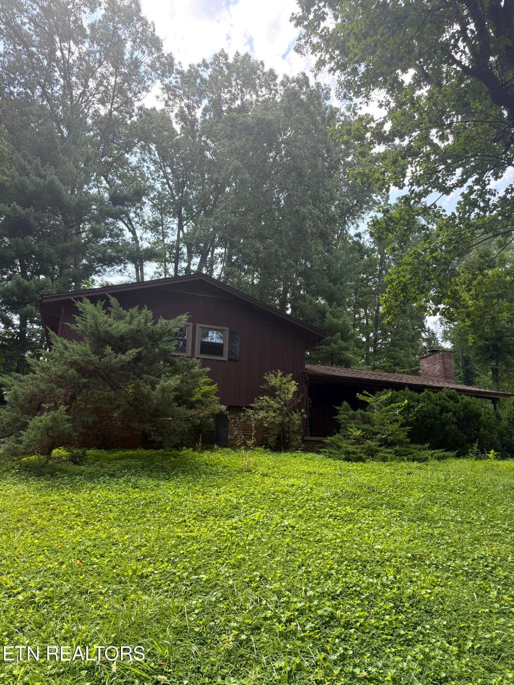 Photo of 4924 Skyview Drive, Knoxville, TN 37917 (MLS # 1349774)