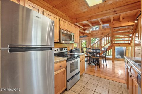Tiny photo for 1109 Autumn Path Way, Sevierville, TN 37862 (MLS # 1334725)