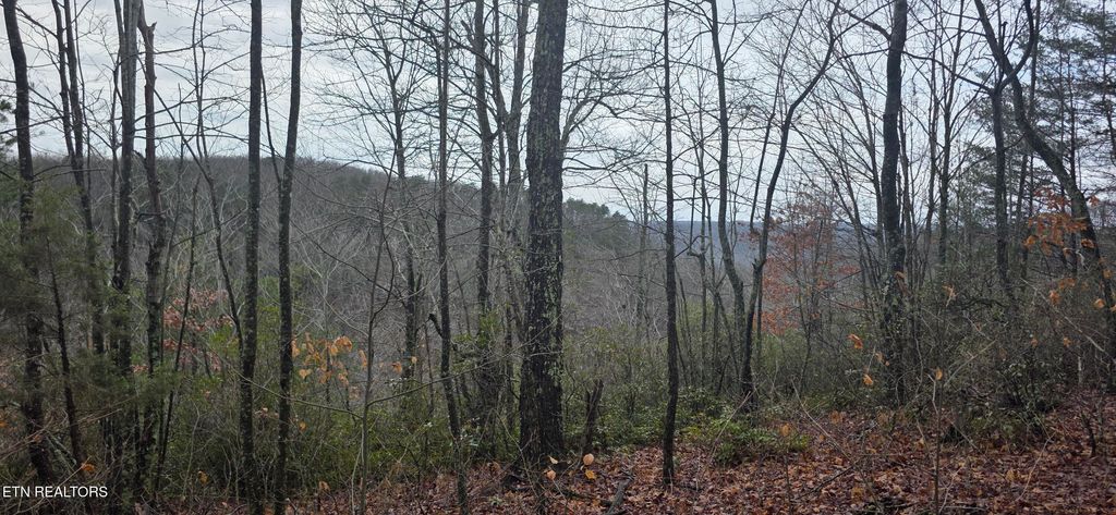 Photo of 786 Eastridge Pass, Monterey, TN 38574 (MLS # 1327163)